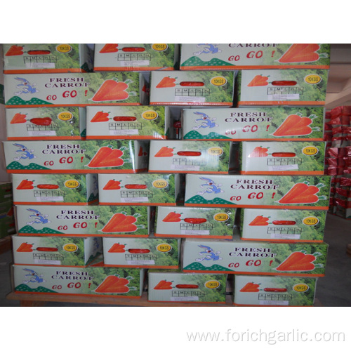 Health Food Carrot In Best Quality Competitive Price